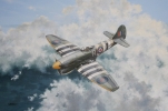 Click to view Tempest Ace.jpg